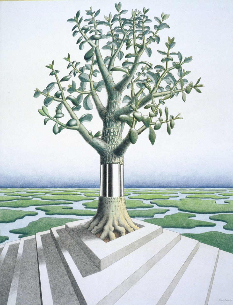 Etli by Rene Boin