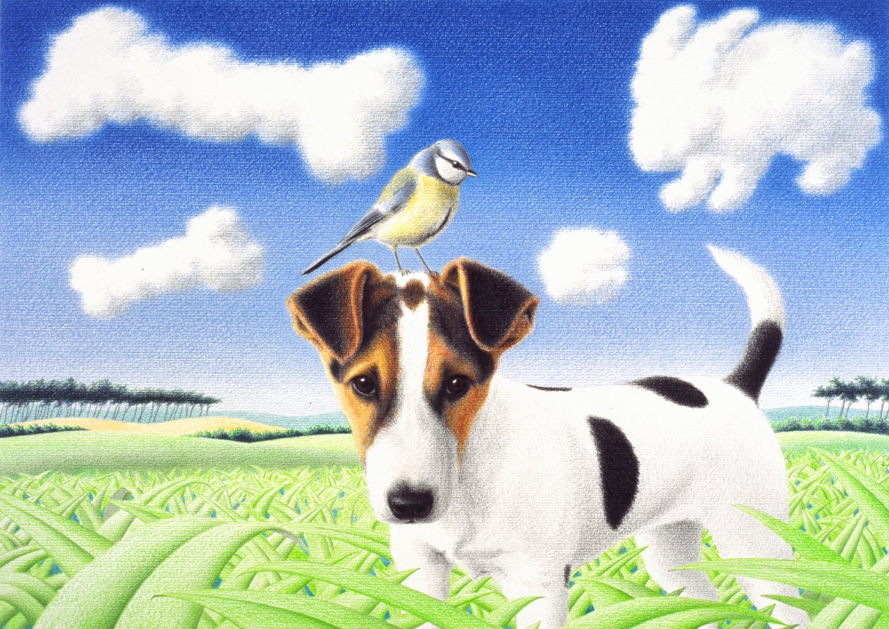 Düşünceler, 2004, Kağıt üzerine renkli karakalem by Rene Boin