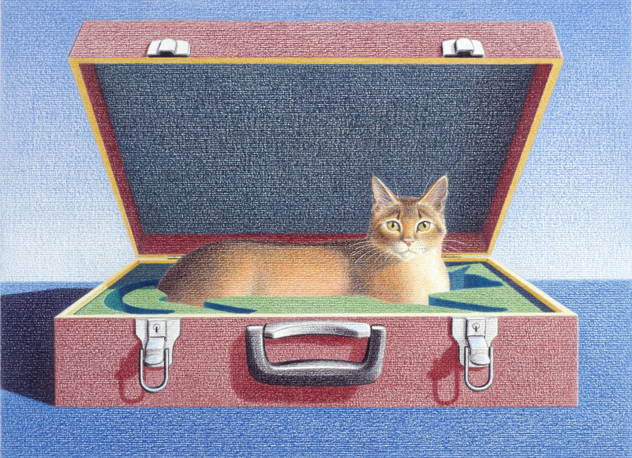 Seyahat çantası 2 by Rene Boin