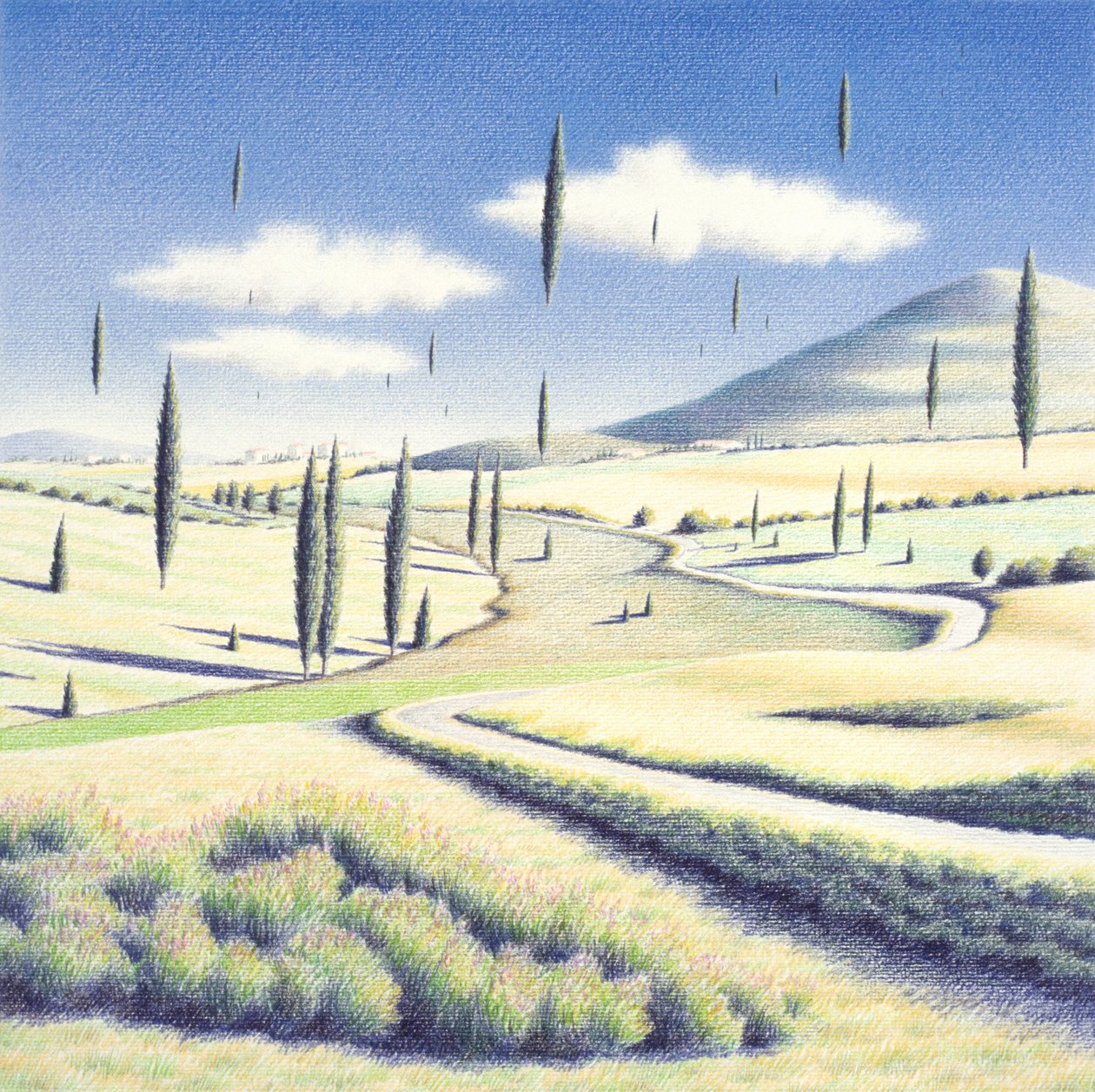 Toskana ağaçları, 2005, Kağıt üzerine renkli kalem çizimi by Rene Boin