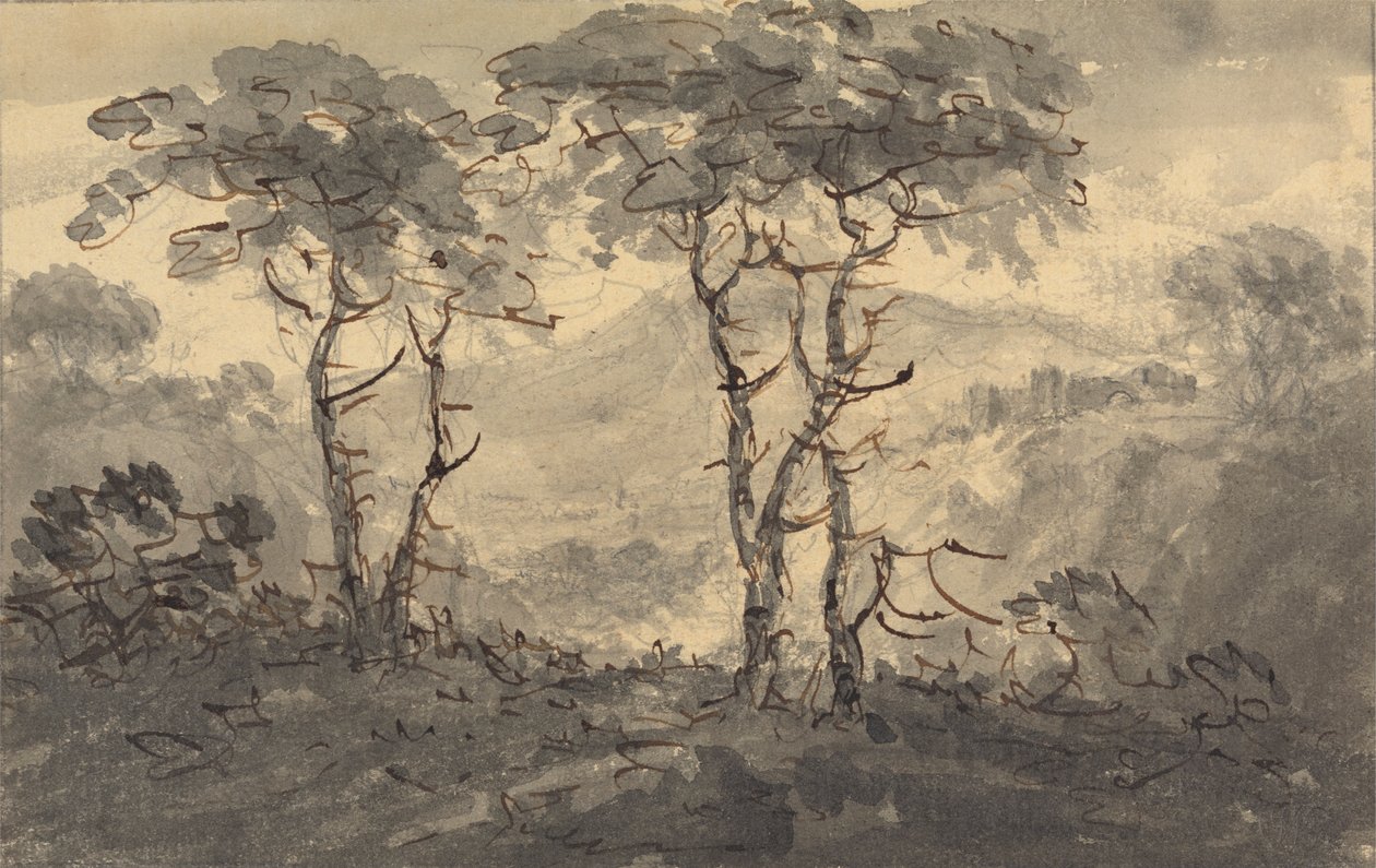 Dağ Manzarasında Köknar Ağaçları by Rev. William Gilpin