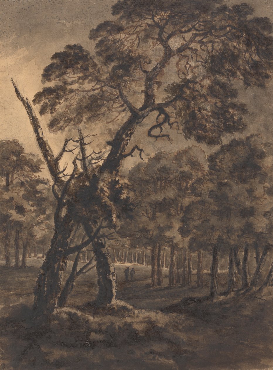 orman sahnesi by Rev. William Gilpin