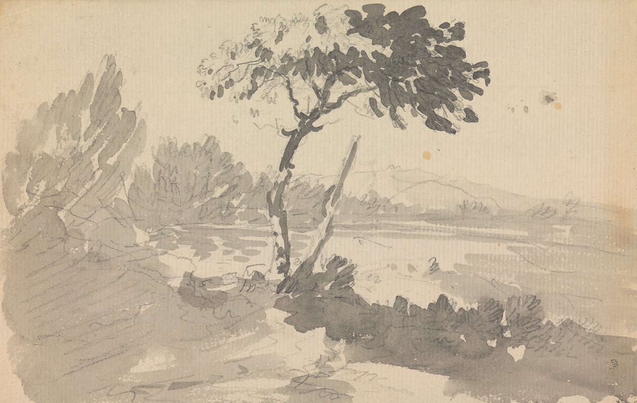 ağaç ve göl by Rev. William Gilpin