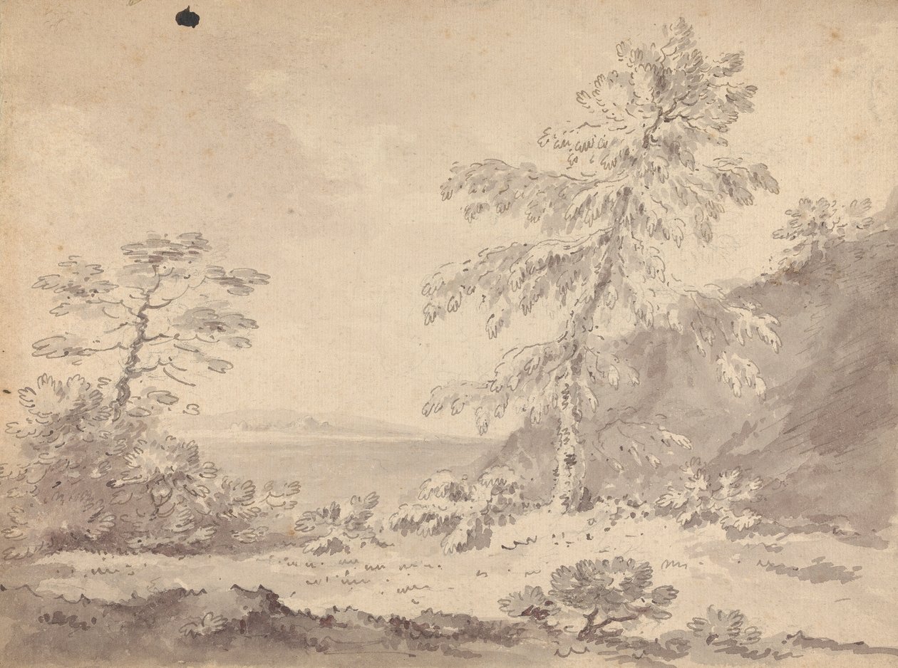 Bir Manzarada İki Ağaç by Rev. William Gilpin