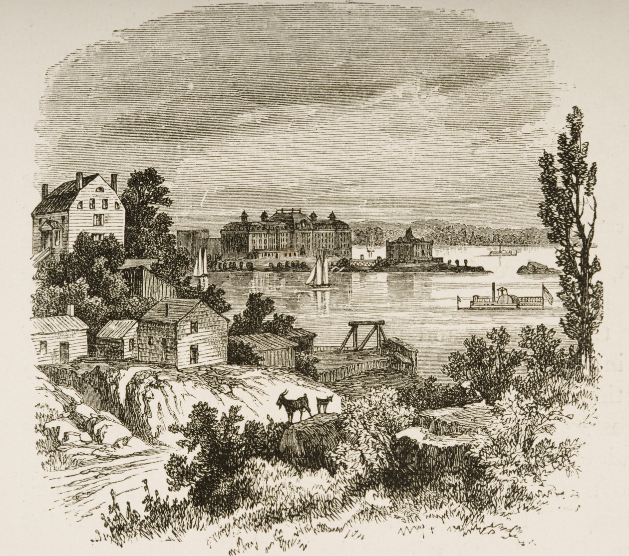 Kaplumbağa Körfezi ve Blackwells Adası, New York, 1880 dolayları by Reverend Samuel Manning