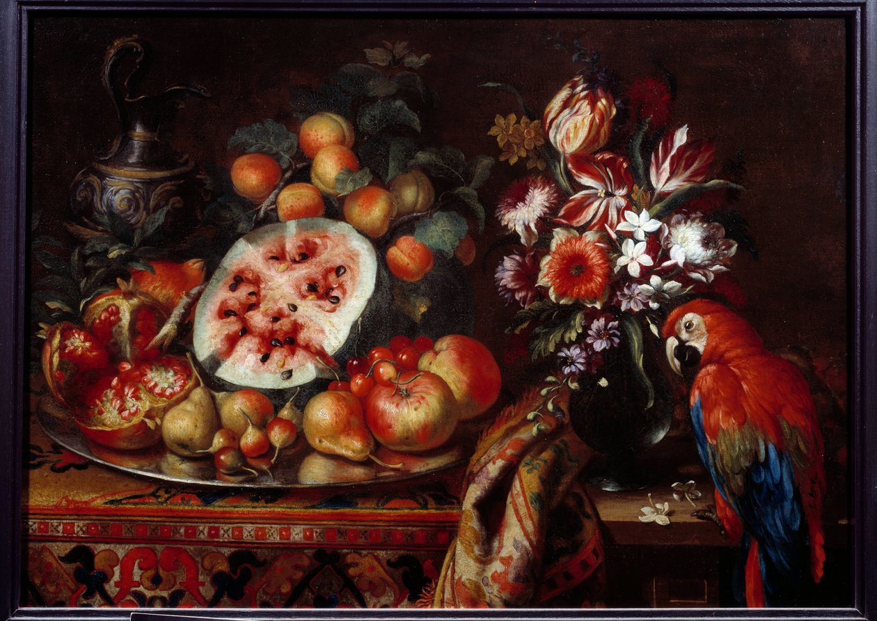 Kırmızı papağan ve meyve Tutku meyvesi, armut, şeftali ve kayısı ile natürmort. Reynaud Levieux Reynaud tarafından yapılan tablo (1625-1690 dolaylarında) 17. yüzyıl Marsilya, Musee des Beaux Arts by Reynaud Levieux