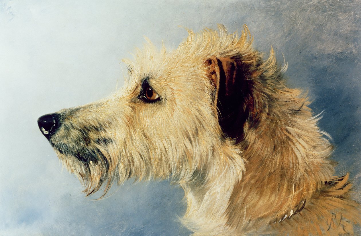 Köpek Başkanı by Richard Ansdell