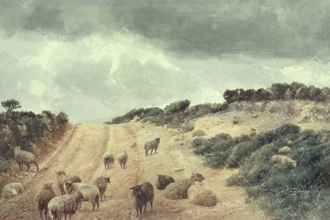 Surrey Tepeleri