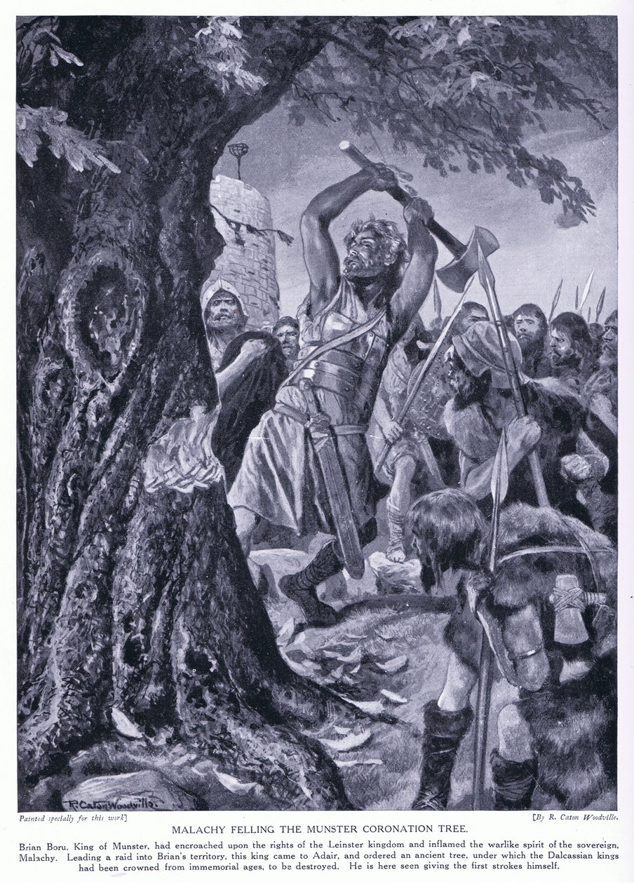 Malchy, Munster taç giyme ağacını devirirken, 1920