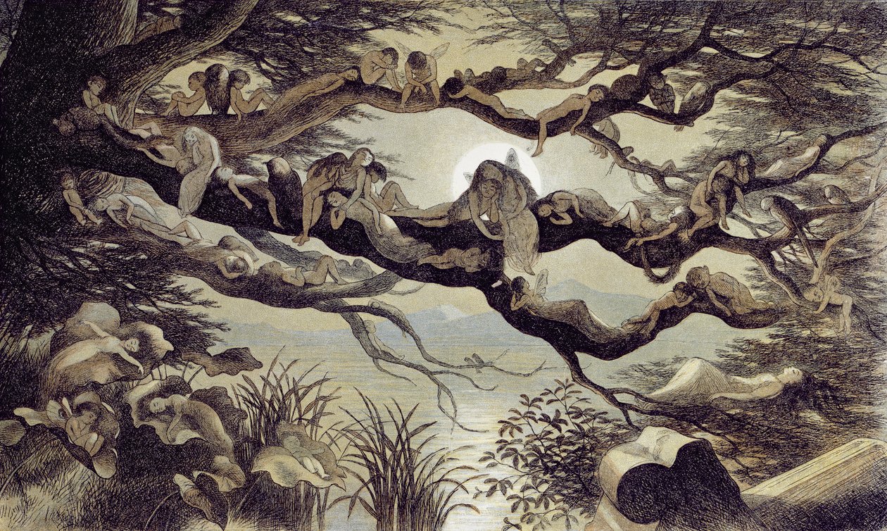 Ay ışığında uykuda by Richard Doyle