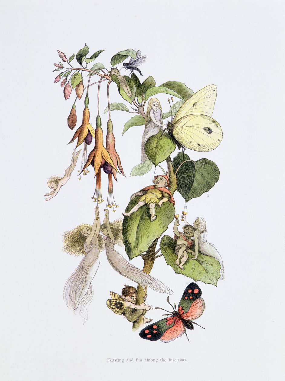 Fuşyalar arasında şölen ve eğlence, William Allingham ve Andrew Lang'in 'In Fairyland: A Series of Pictures from the Elf-World'den bir illüstrasyon by Richard Doyle