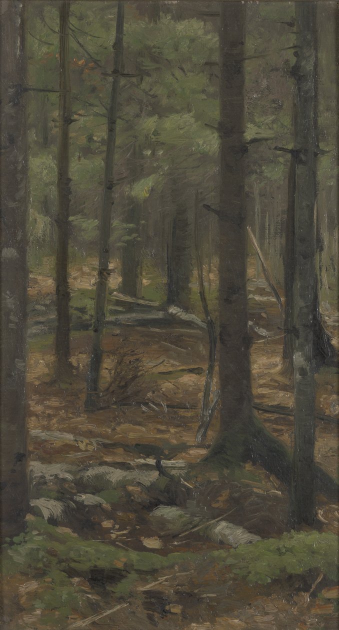Rominten ormanında by Richard Friese