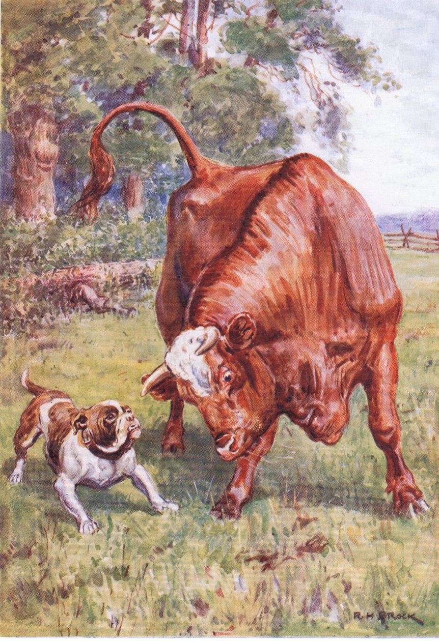 Eski düşmanlar by Richard Henry Brock