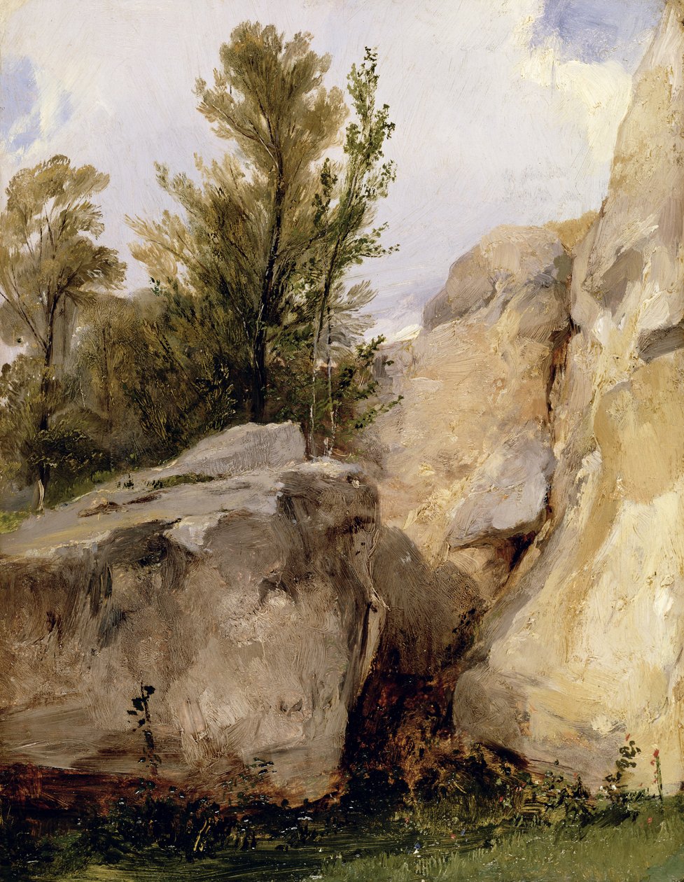 Fontainebleau Ormanı
