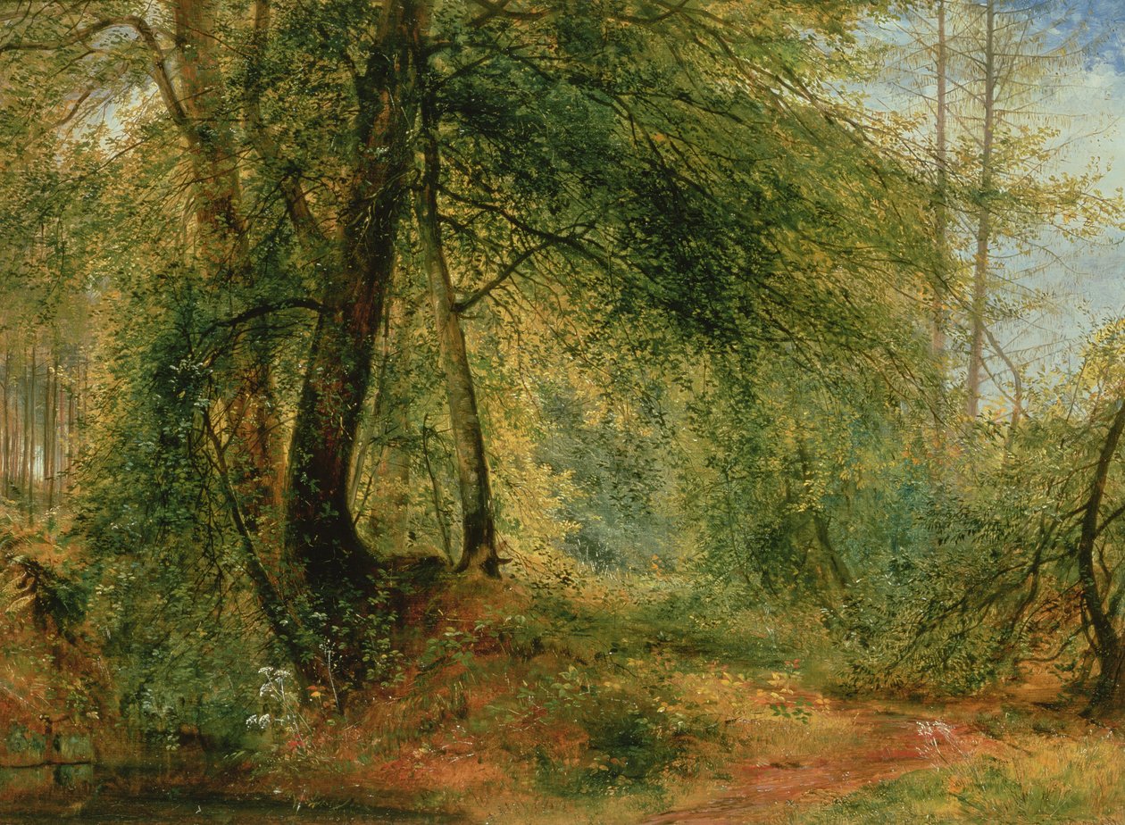Woodland Aynası, 19. yüzyıl by Richard Redgrave