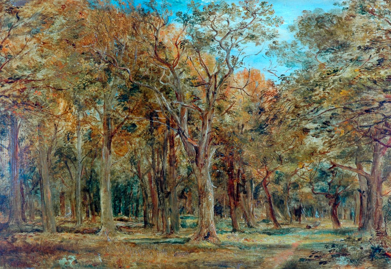 Sherwood Ormanı by Richard Sebastian Bond