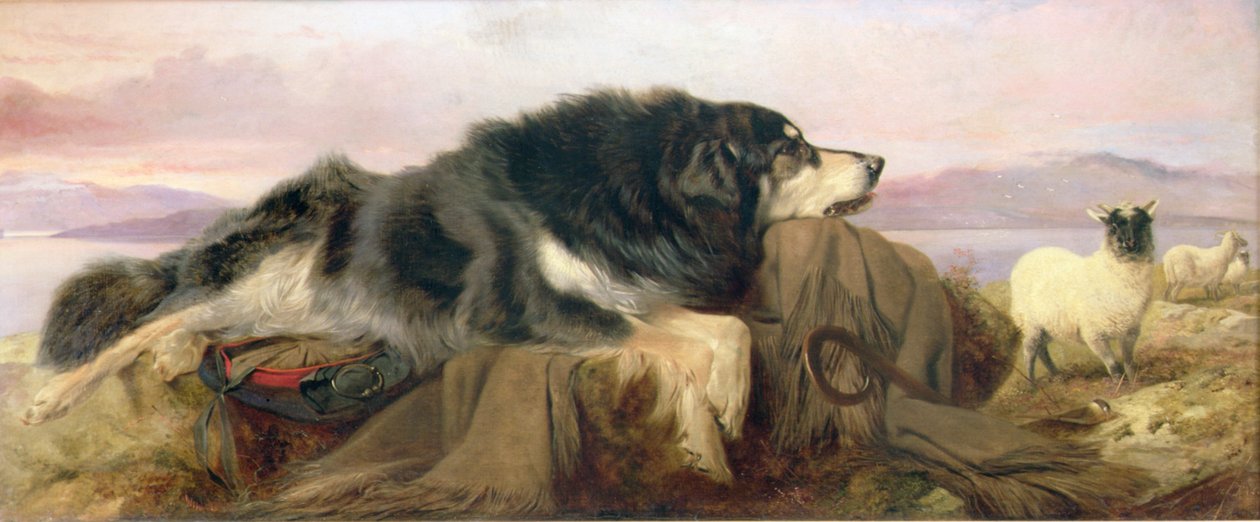 Çoban Köpeği by Richard Ansdell