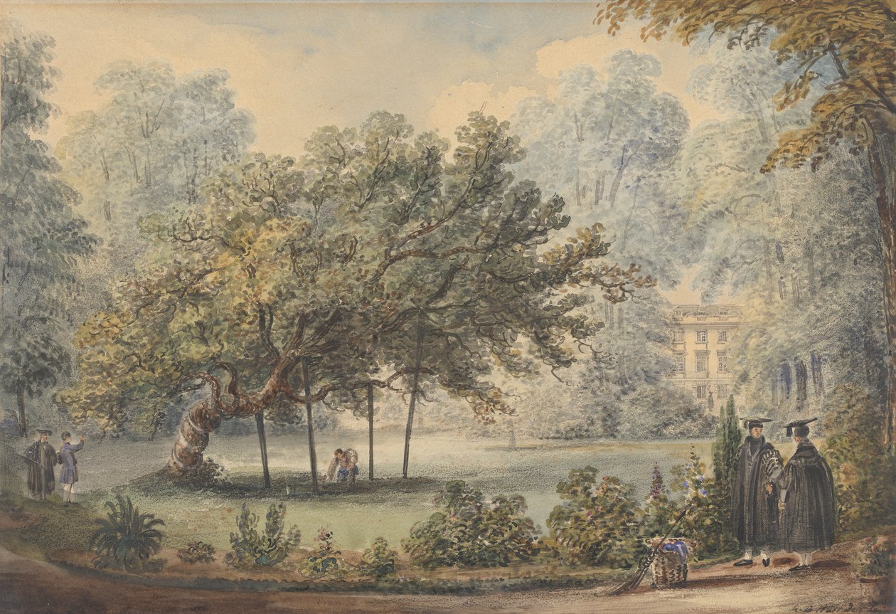 Milton'ın Dut Ağacı, Christ's College Gardens, Cambridge by Richard Banks Harraden