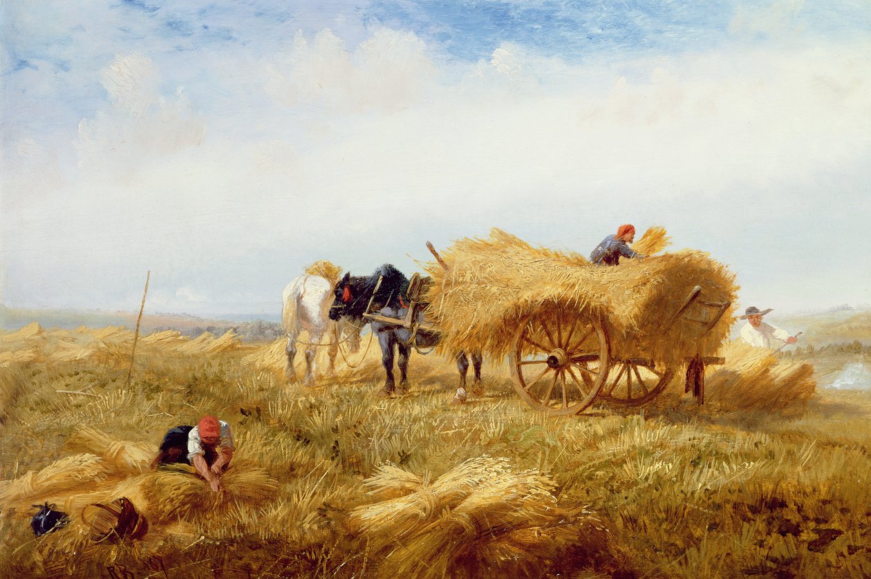Boulogne-sur-Mer yakınlarında hasat by Richard Beavis