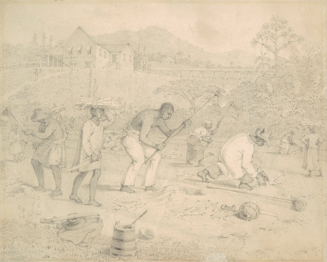 Şeker kamışı ekimi (Trinidad) by Richard Bridgens