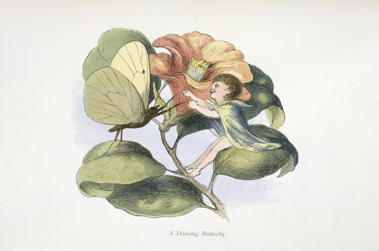 dans eden kelebek by Richard Doyle