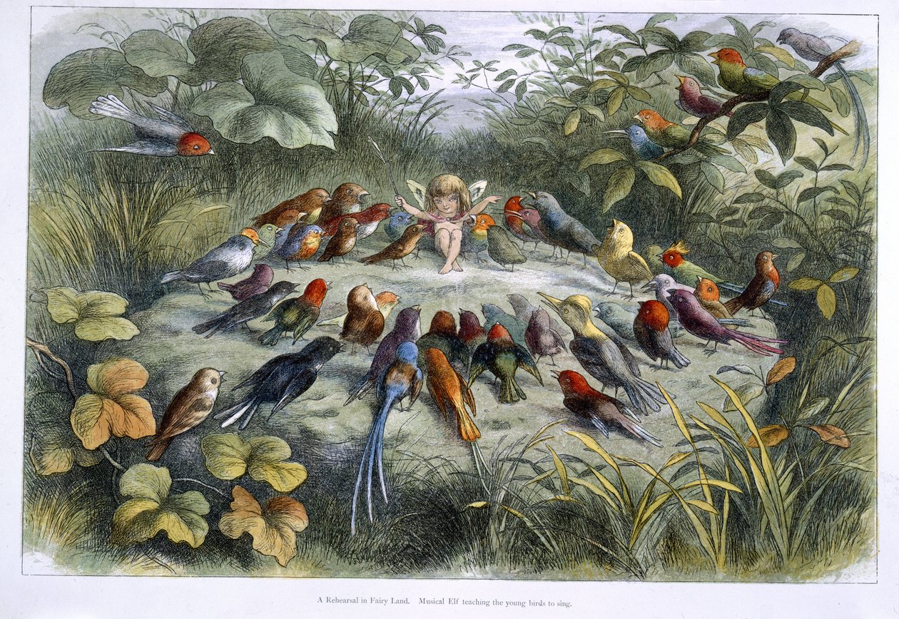Bir elf ve kuşlar by Richard Doyle