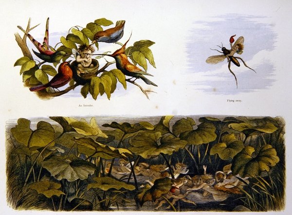 Peri Diyarında by Richard Doyle