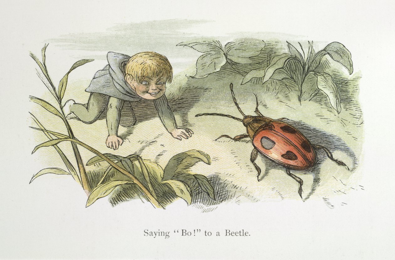 Hayır demek! bir böceğe by Richard Doyle