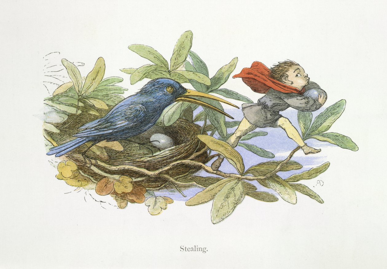 çalmak by Richard Doyle