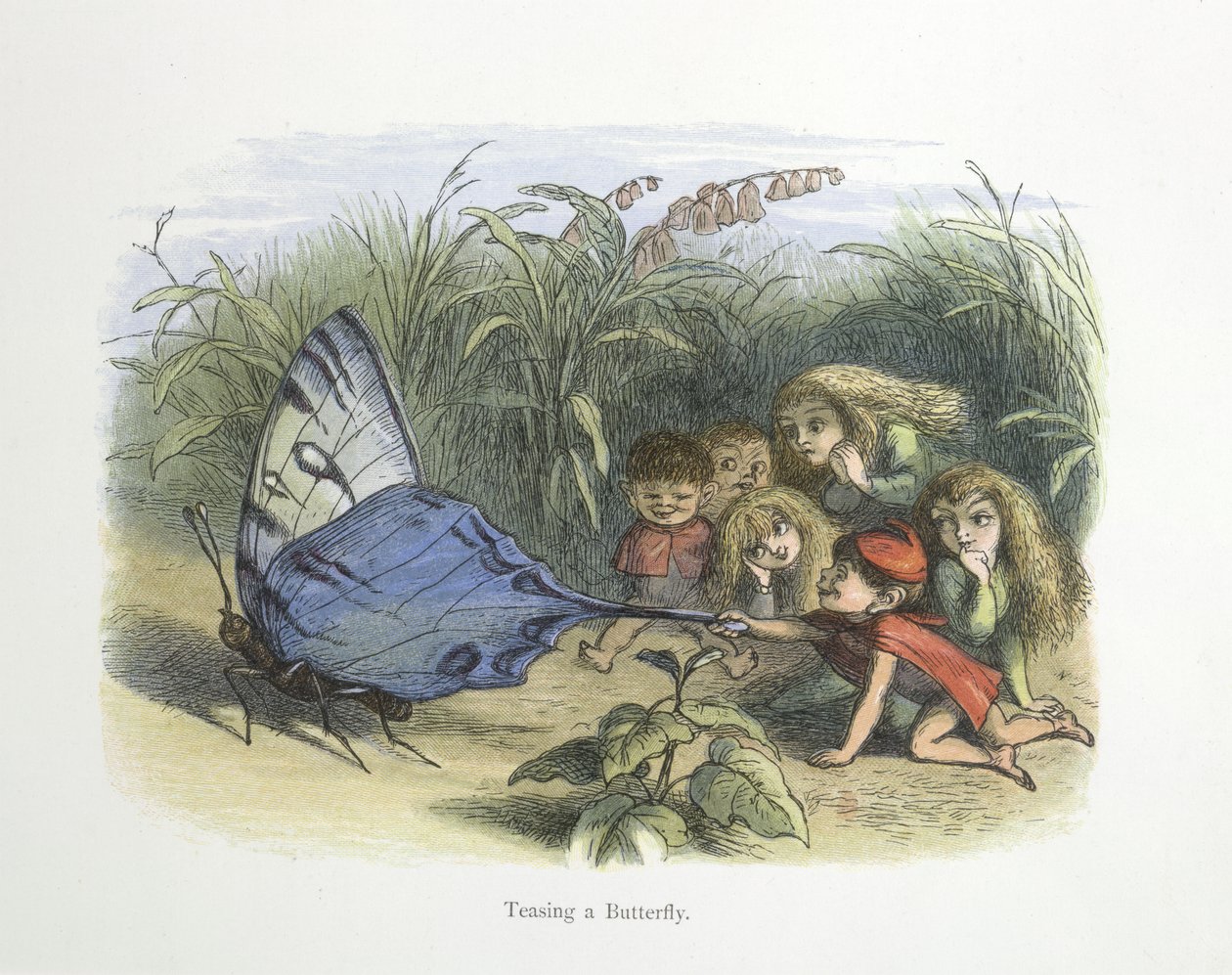 bir kelebek alay by Richard Doyle