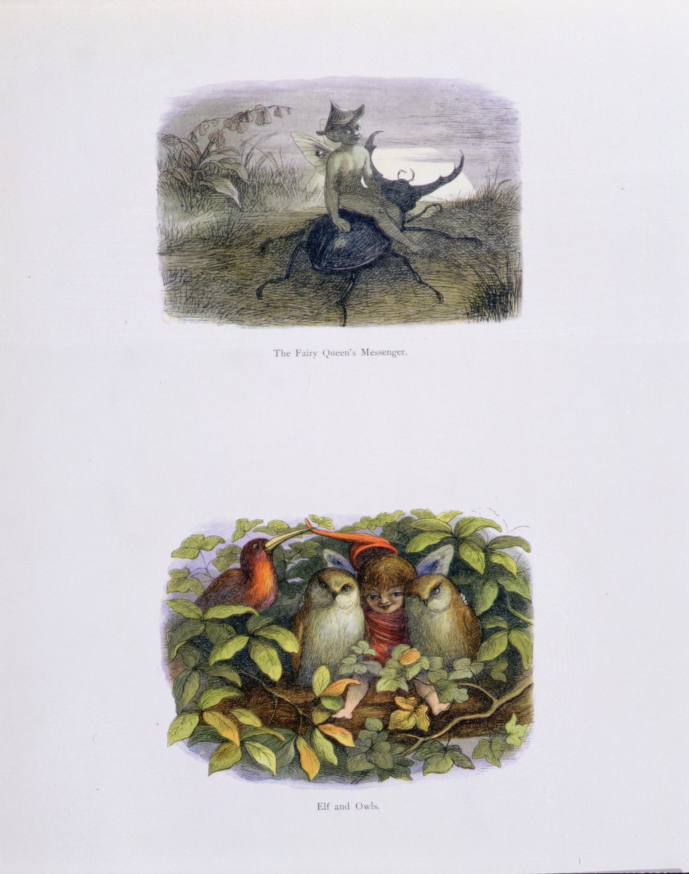 Kraliçe Perinin Elçisi ve Elf ve Baykuşlar, William Allingham ve Andrew Lang