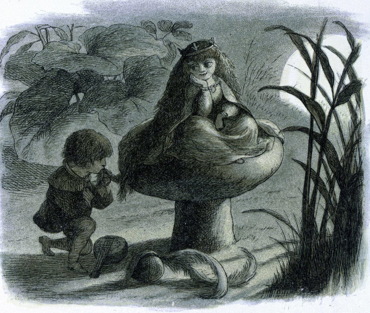Bir mantarın üzerinde oturan bir su perisi, bir sevgili tarafından flört edilir. Richard Doyle