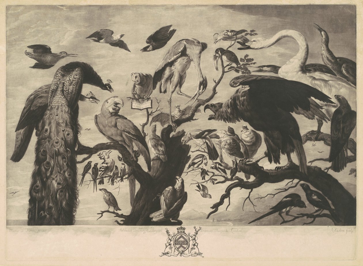 Kuşlar Konseri by Richard Earlom, after Mario Nuzzi