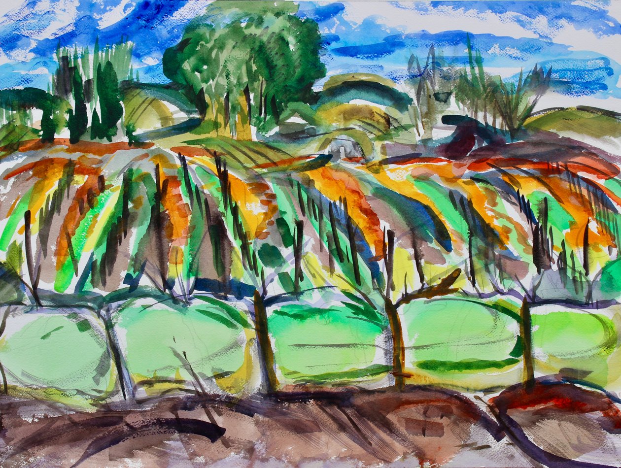 Sonbahar Üzüm Bağları, Napa, 2017 by Richard Fox