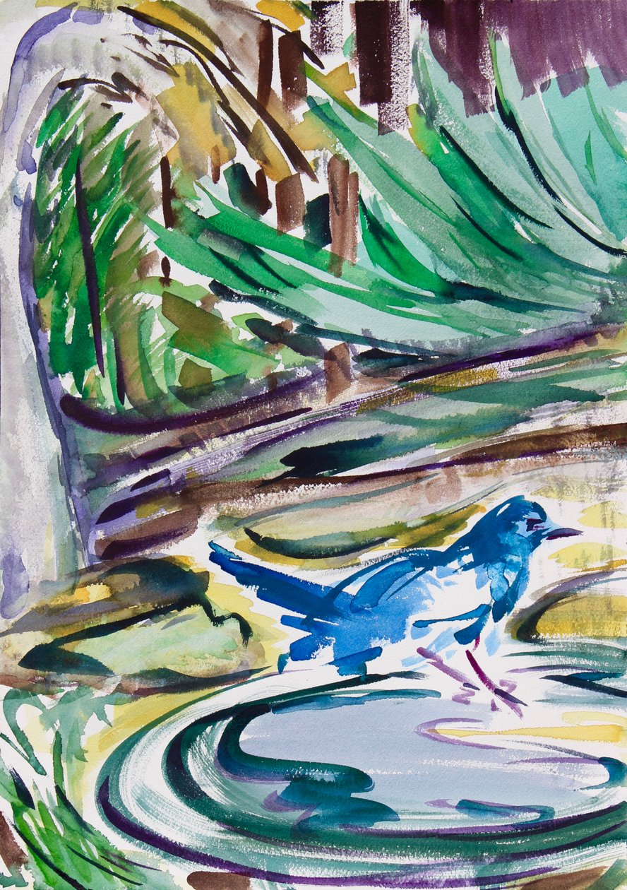 Birdbath, 2021 (kağıt üzerine sulu boya) by Richard Fox