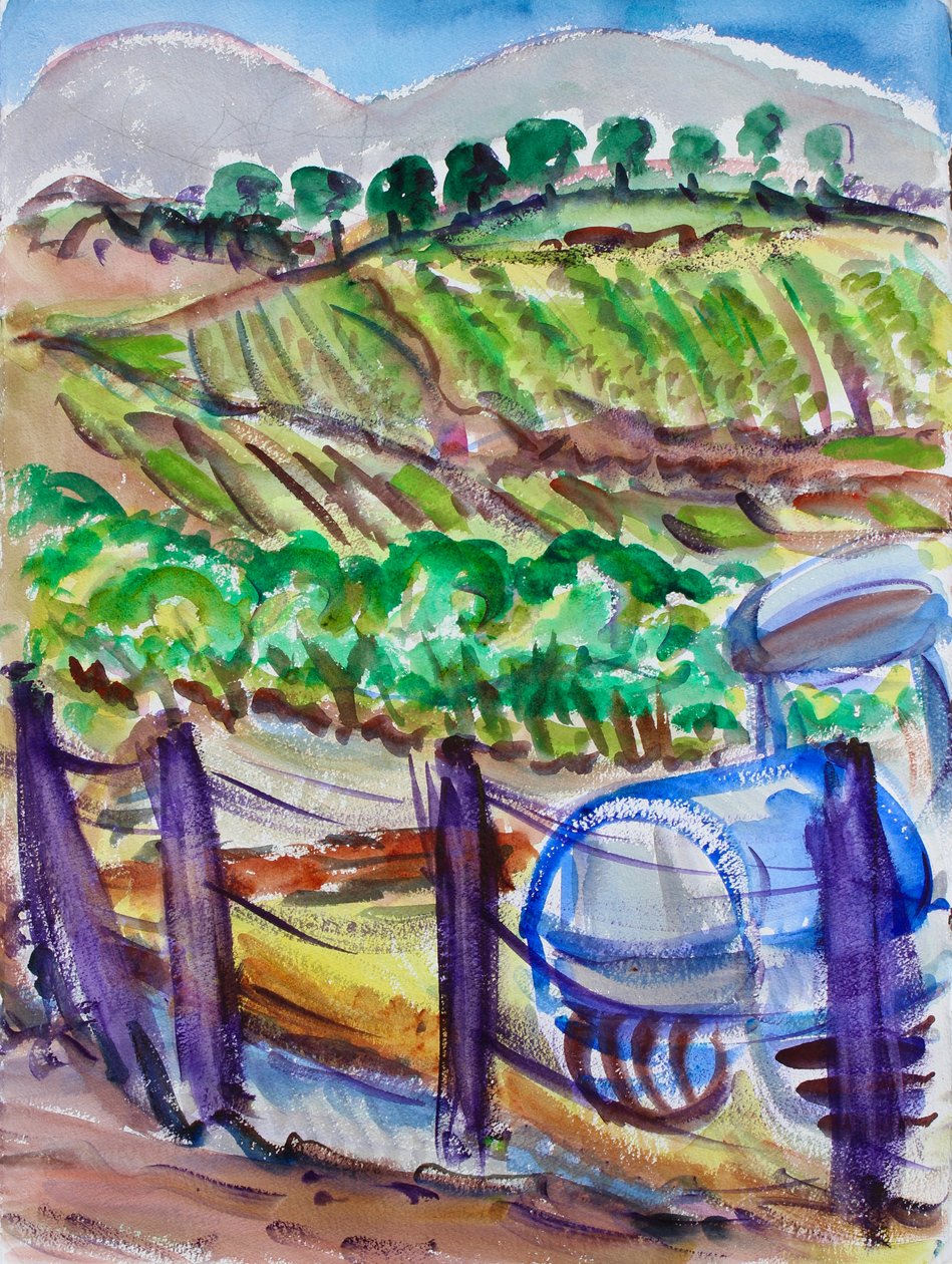 Mavi Traktör, Napa Vadisi, 2017 by Richard Fox