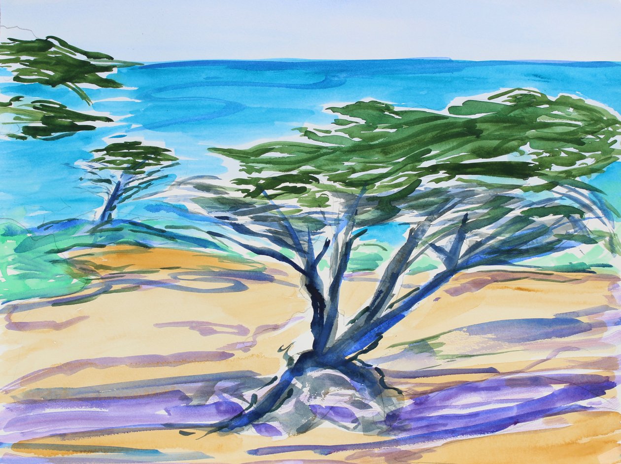 Selvi Ağacı, Carmel Körfezi, 2019 by Richard Fox