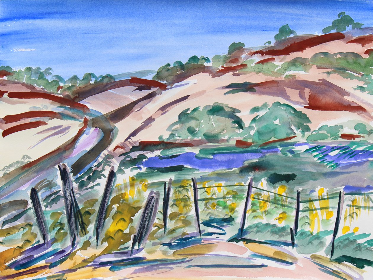 Dry Hills, Kuzey Kaliforniya, 2021 (kağıt üzerine sulu boya) by Richard Fox