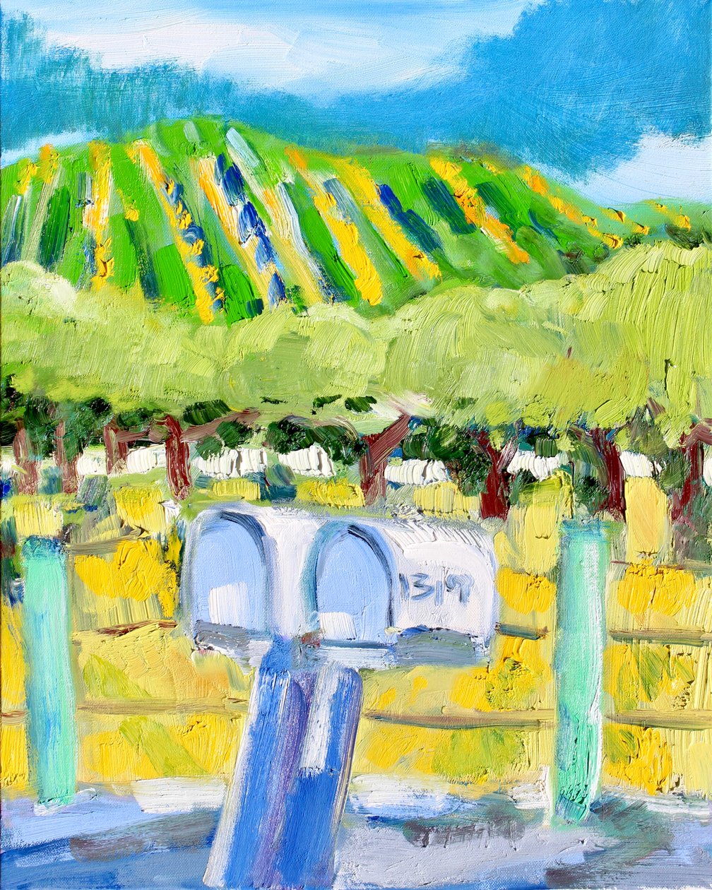 Posta Kutuları ve Bağ, Napa, 2019 by Richard Fox