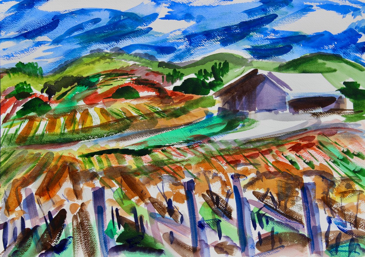 Sonbaharda Napa, 2017 by Richard Fox