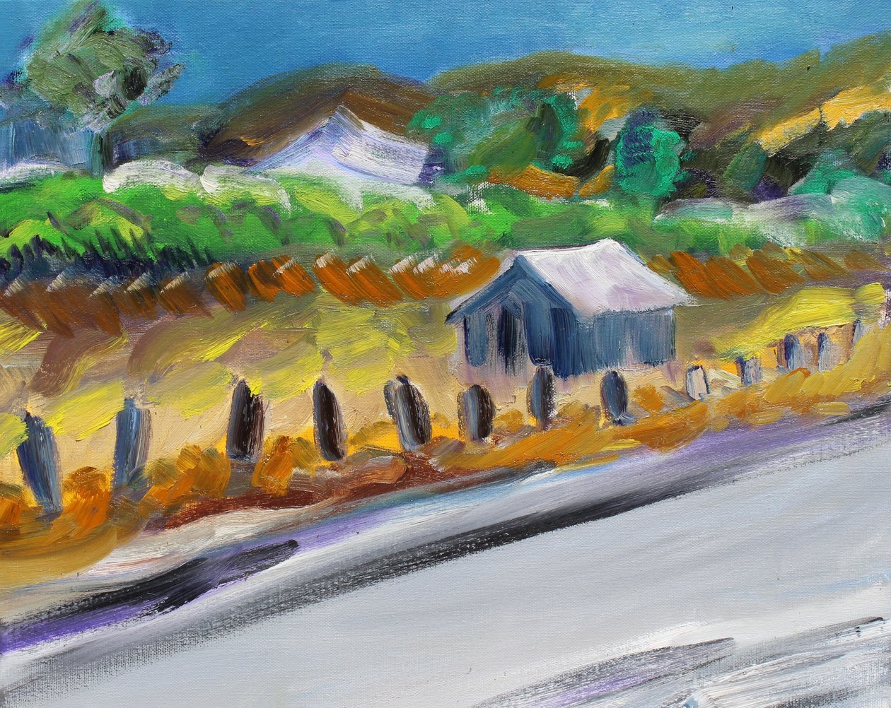 Otoyol Kenarındaki Kulübe, 2017 by Richard Fox