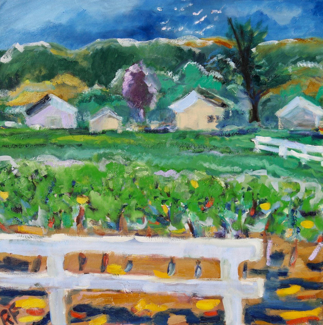 Kırık Çit, Napa, 2019 by Richard Fox