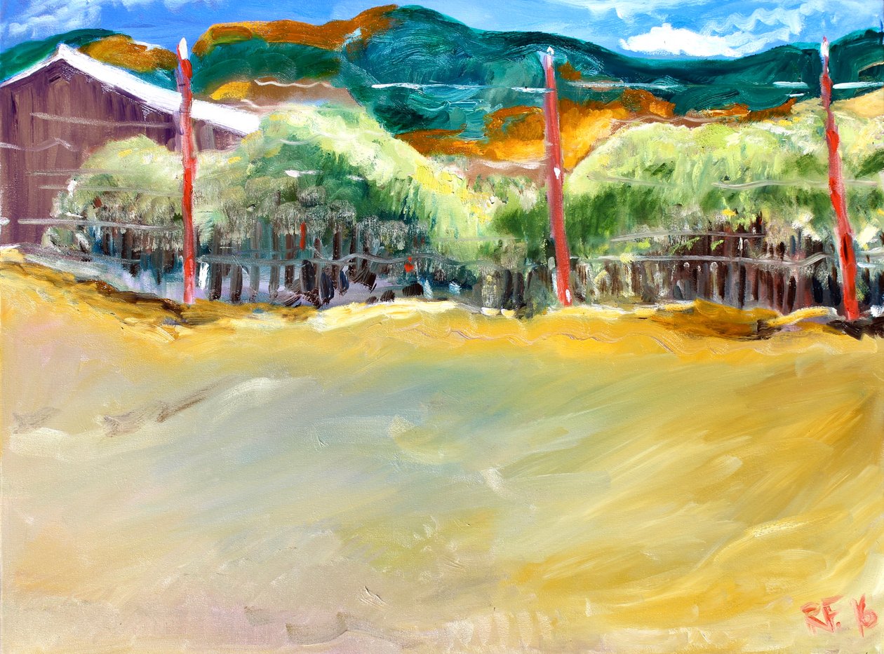 Bağ, Sonoma, 2017 by Richard Fox