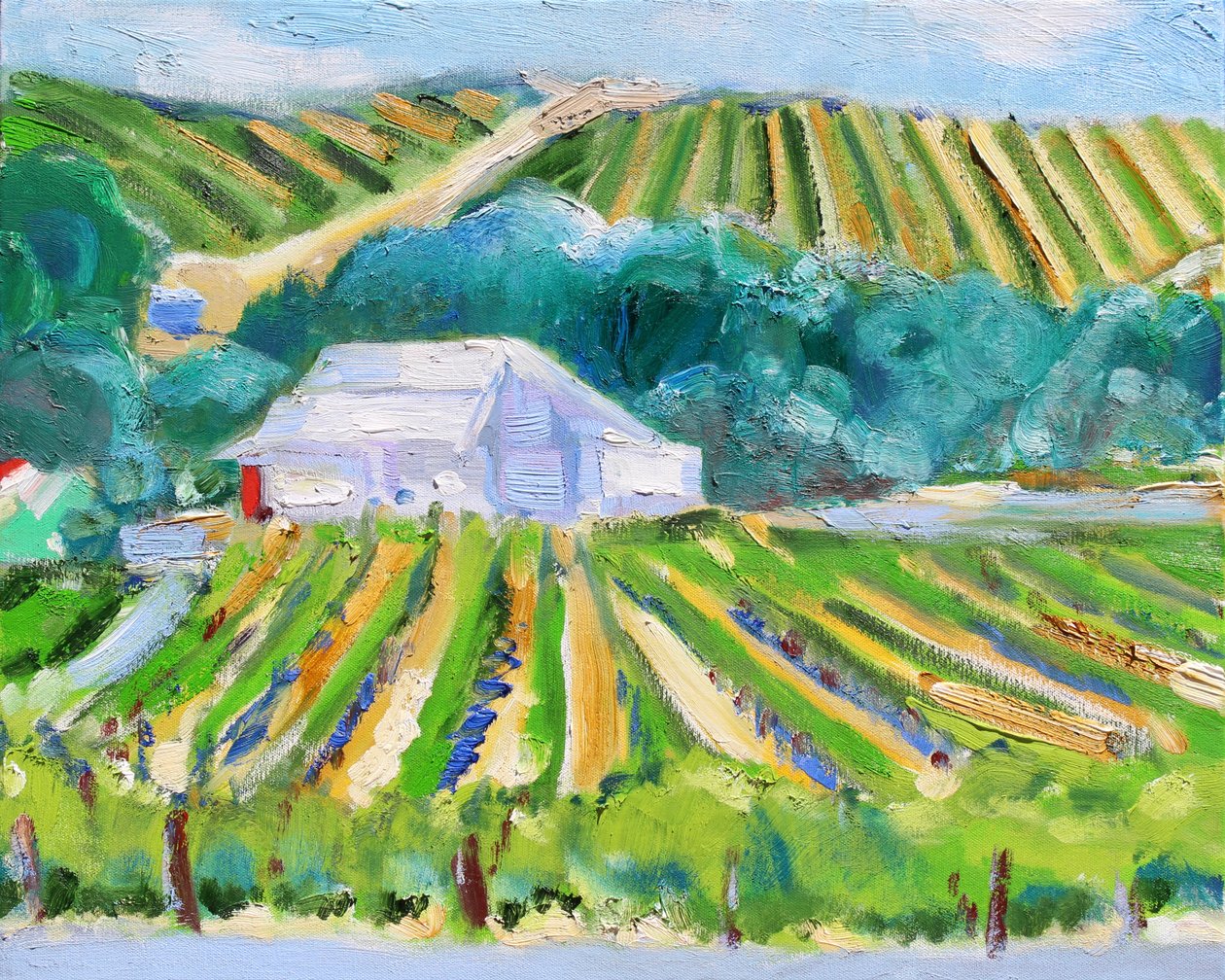 Beyaz Ahır ve Bağ, Napa, 2019 by Richard Fox