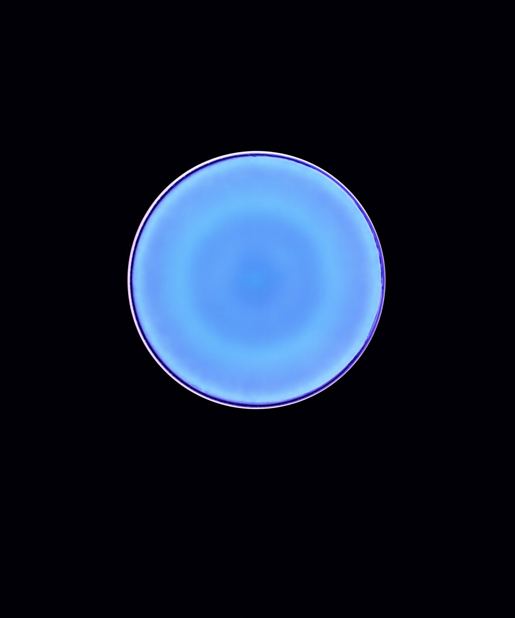 Circle X, 2005 (dijital c-tipi fotogram) by Richard Green
