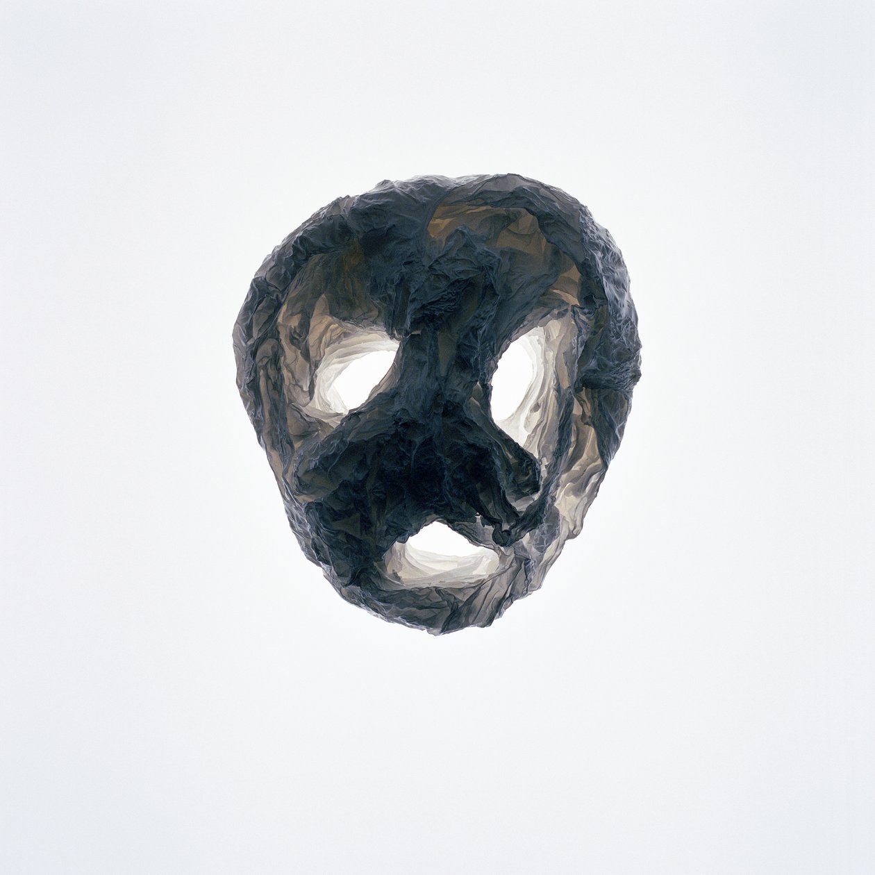 Ghoulie, 2015 by Richard Green