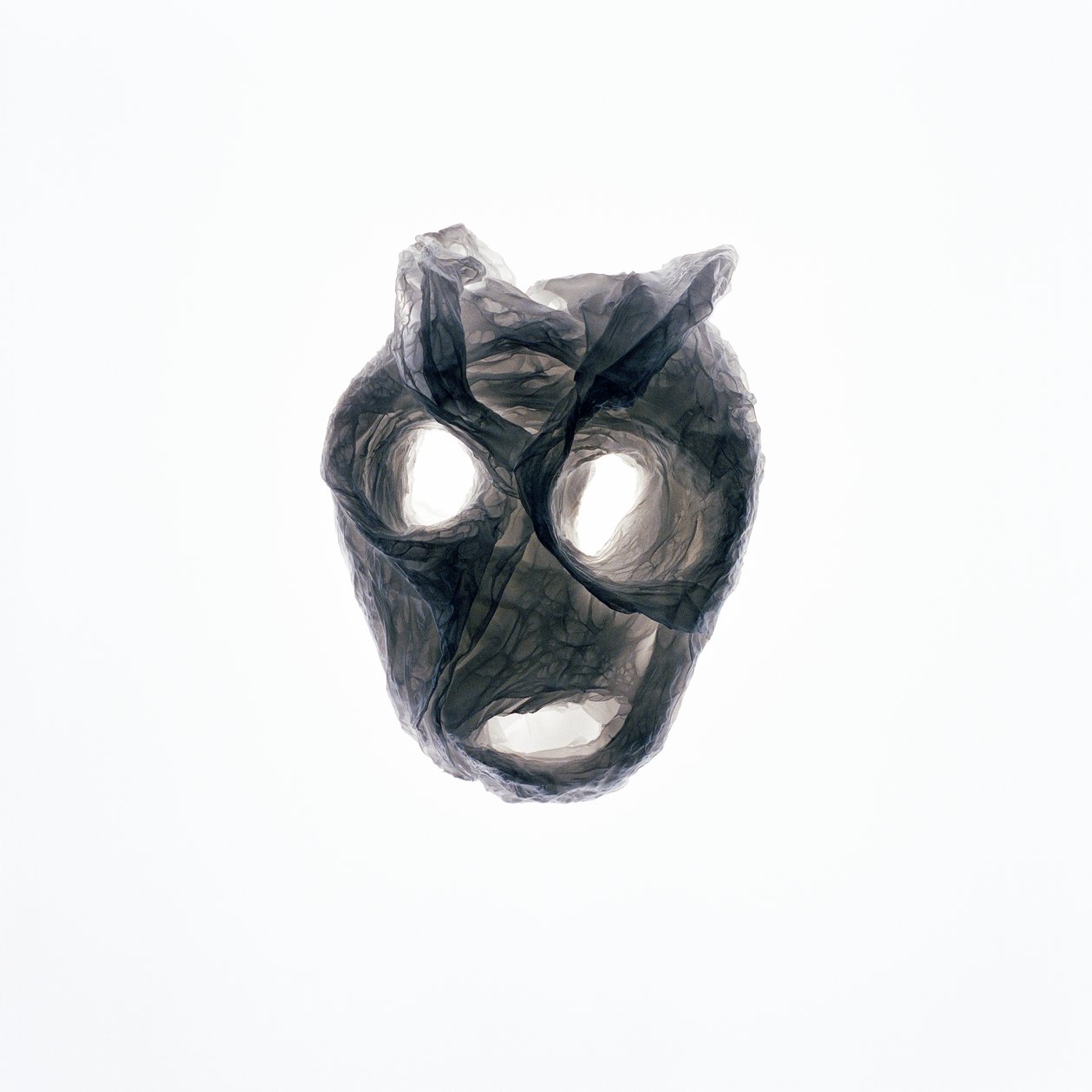 Ghoulie, 2015 by Richard Green