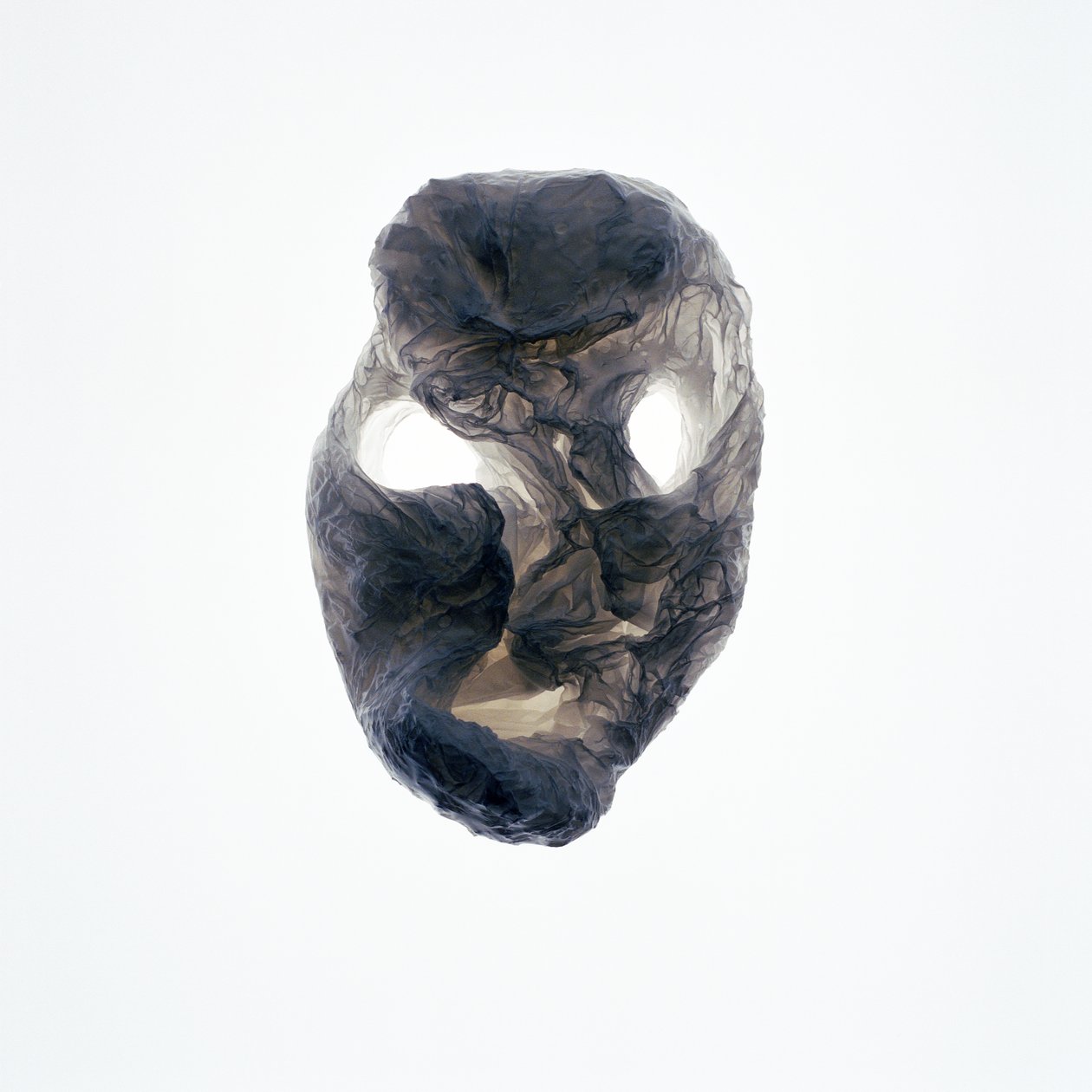 Ghoulie, 2015 by Richard Green