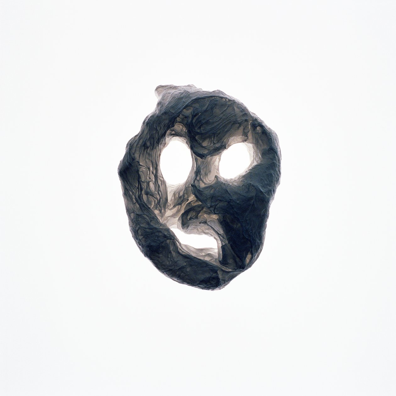 Ghoulie, 2015 by Richard Green