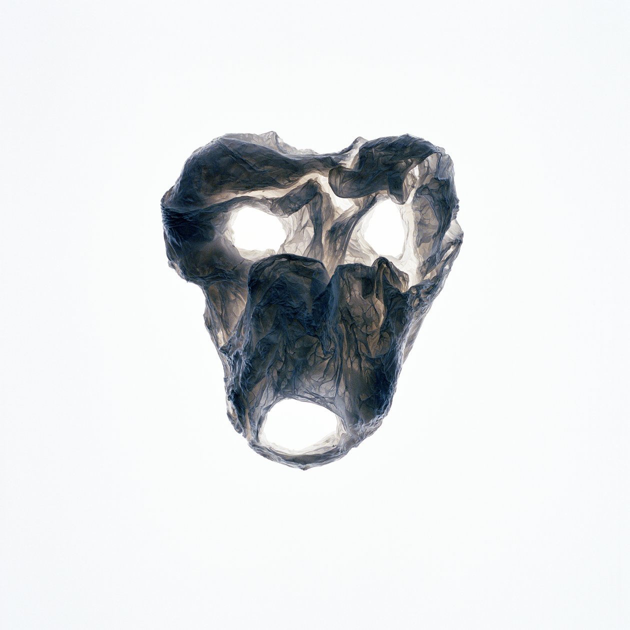 Ghoulie, 2015 by Richard Green